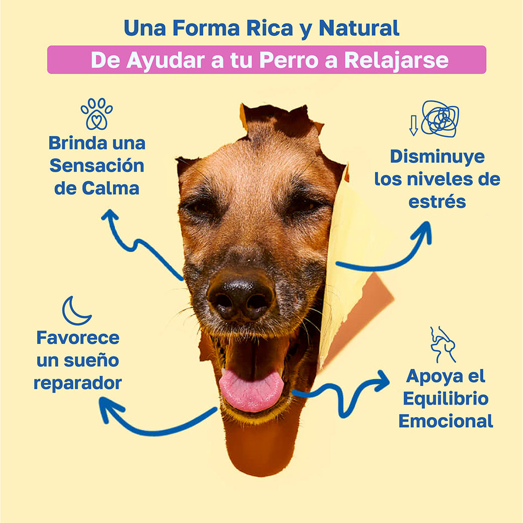 Suplemento calmante para perros | Con manzanilla y teanina