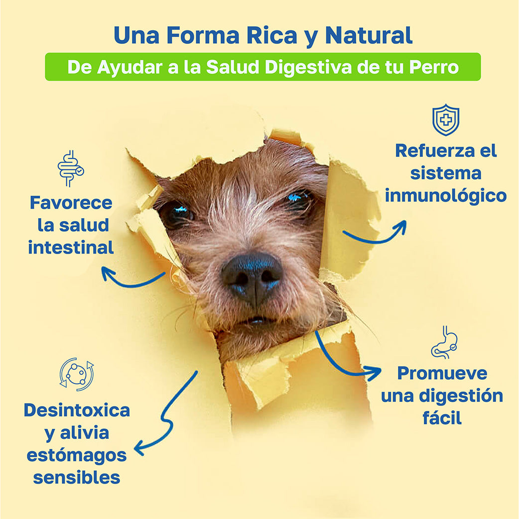 Suplemento digestivo y para la salud intestinal de perros | Con enzimas y probióticos