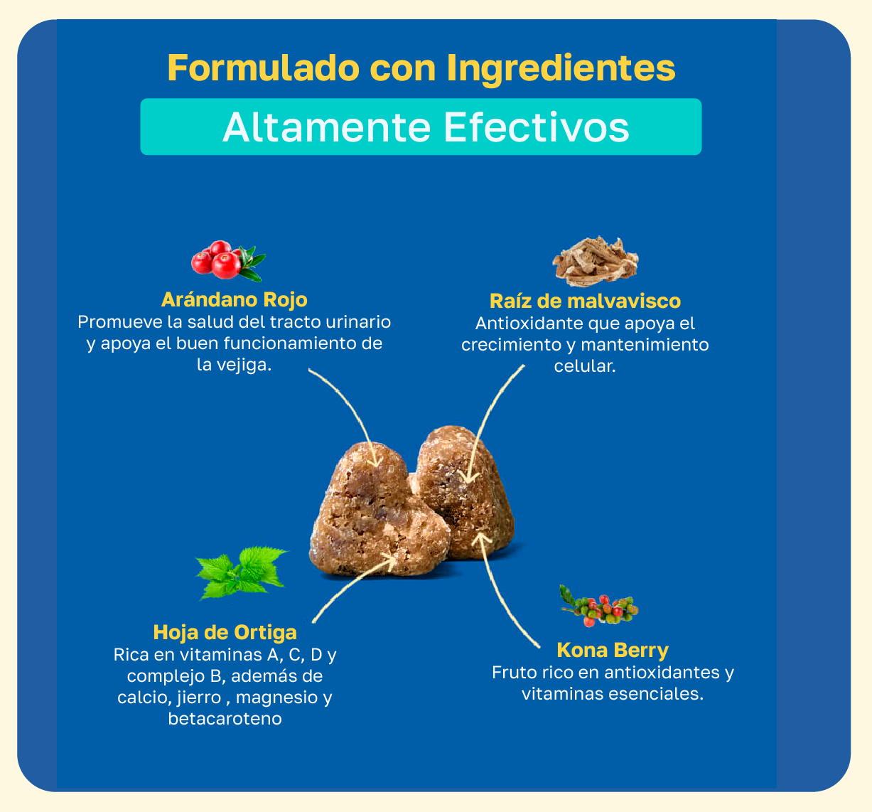 Suplemento para la vejiga para perros | Con arándano
