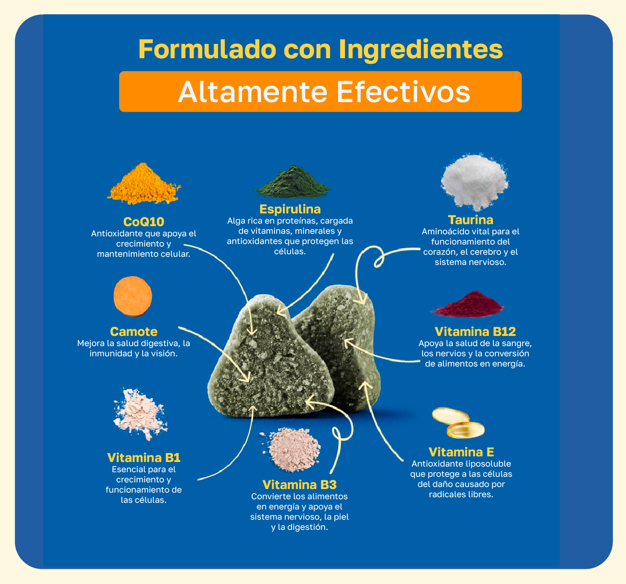 Suplemento cognitivo para perros | Con vitamina B y taurina