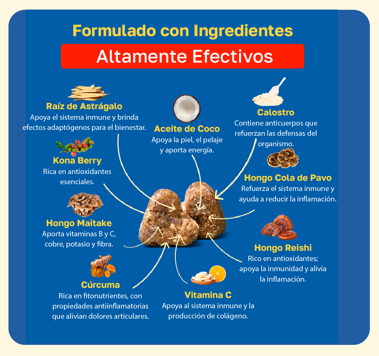 Suplemento para alergias en perros | Apoyo inmunológico diario