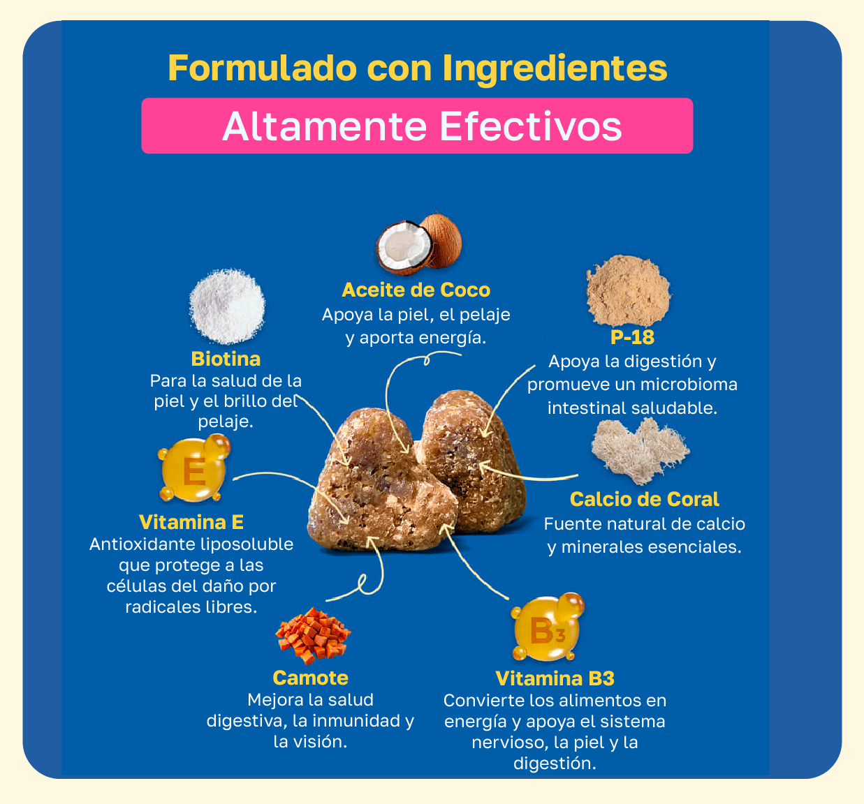 Suplemento para la piel y el pelaje de perros | Con biotina y aceite de coco