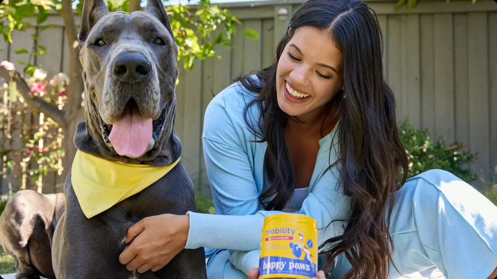 Glucosamina y Condroitina para Perros: Guía Completa para la Salud Articular Canina