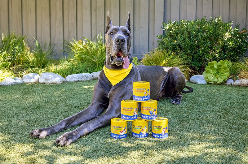 Conoce Happy Paws: Suplementos Naturales para Perros que Sí Funcionan