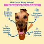 Beneficios calming: Beinda una sensacion de calma, disminuye los niveles de estres, favorece el sueño reparador, apoya el equilibrio emocional 