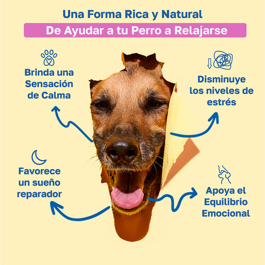 Suplemento calmante para perros | Con manzanilla y teanina