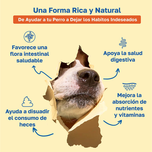 Suplemento “No Poo” para perros | Disuasivo para evitar que coman heces