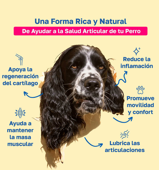 Suplemento para las articulaciones y caderas de perros | Con glucosamina y condroitina