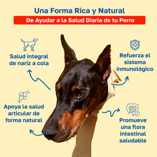 Multivitaminico 10 en 1