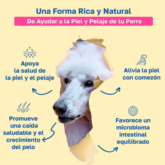 Suplemento para la piel y el pelaje de perros | Con biotina y aceite de coco