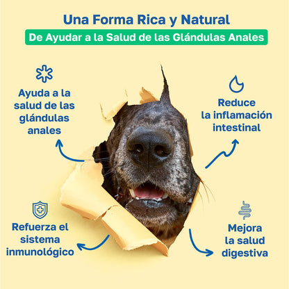 Beneficios scoot stop: Ayuda a la salud de las galndulas anales, Reduce la inflamacion intestinal, Refuerza el sistema inmunologico, Mejora la salud digestiva 
