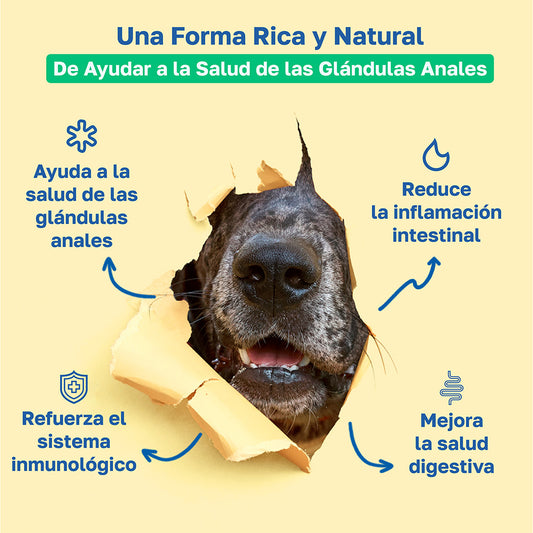 Suplemento Scoot Stop para perros | Apoyo a las glándulas anales