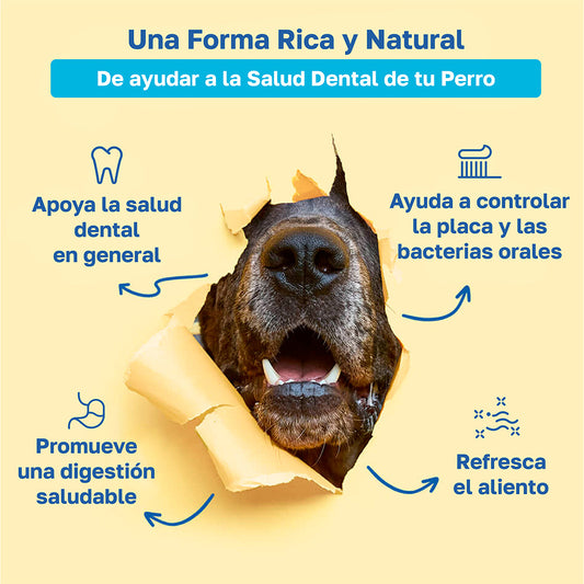 Suplemento dental para perros | Cuidado e higiene oral